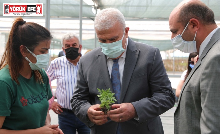 Başkan Atay, belediyenin tarım arazilerini inceledi