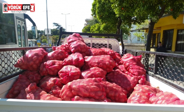 Patates dağıtımı Aydın’da devam ediyor