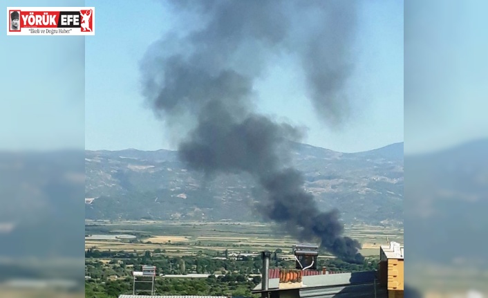 Aydın’daki bir işletmede yangın çıktı