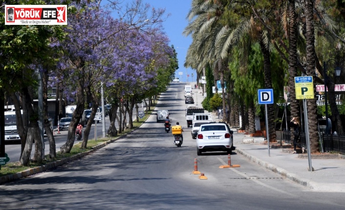 Kuşadası’nda Jakaranda ağaçları çiçek açtı