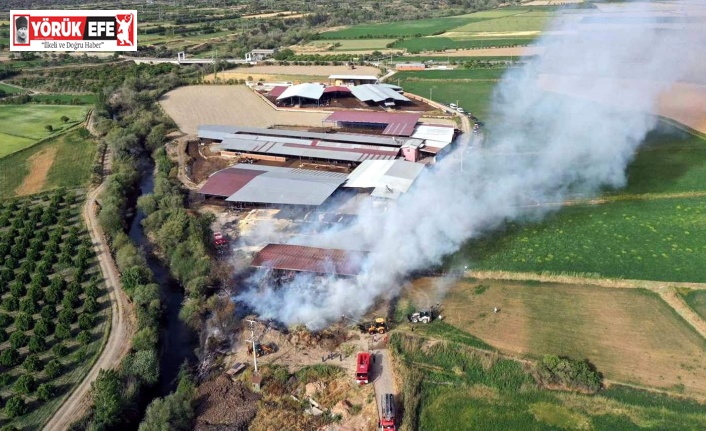 Kuyucak’taki yangında bin tondan fazla saman zarar gördü