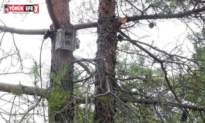 Milli Parklar Müdürlüğü’nden önemli açıklama