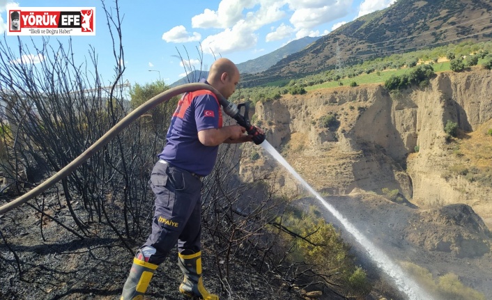 Aydın’da arazi yangını kontrol altına alındı