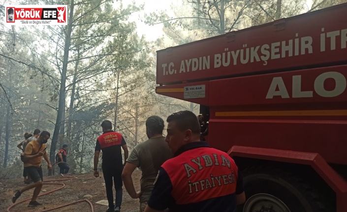 Aydın Büyükşehir Belediyesi itfaiye ekipleri Marmaris yangınına müdahale ediyor