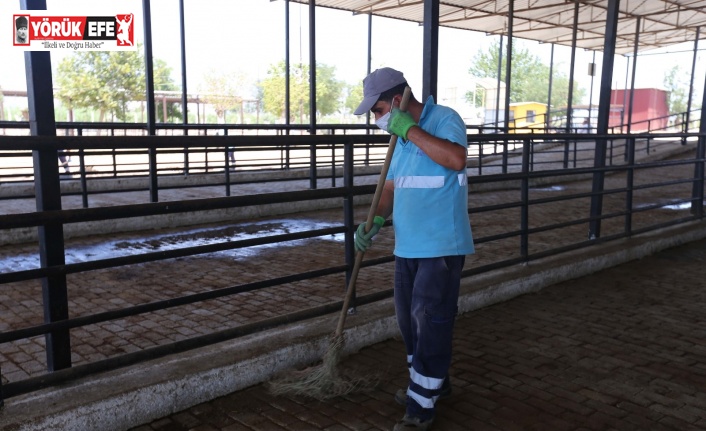 Efeler Belediyesi kurban pazarlarını bayrama hazırlıyor