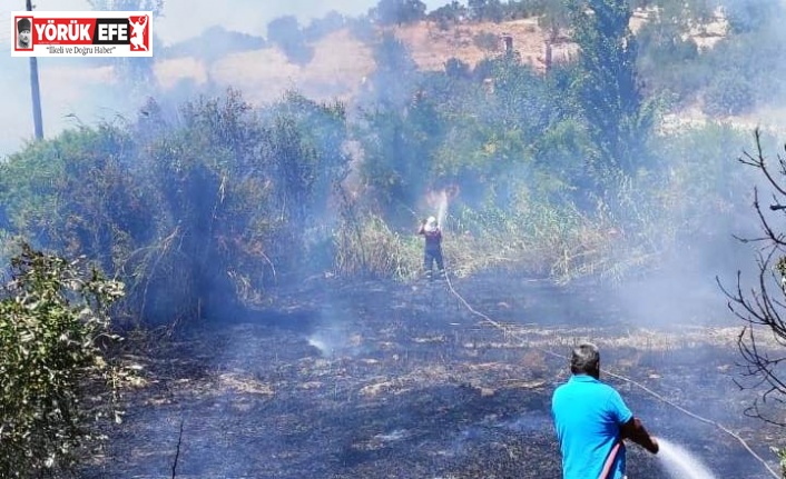 Karacasu’daki arazi yangını kontrol altına alındı