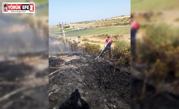 Didim’deki makilik yangını söndürüldü