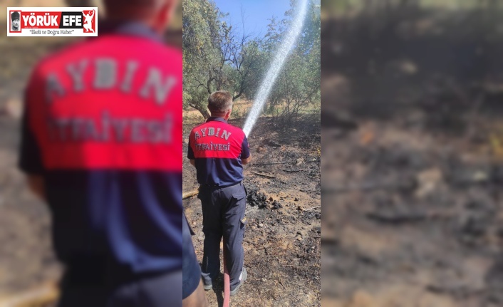 Karacasu’da evleri tehdit eden yangını Büyükşehir itfaiyesi söndürdü