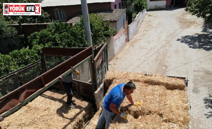 Yangında zarar gören çiftçiler yem ve saman bağışı