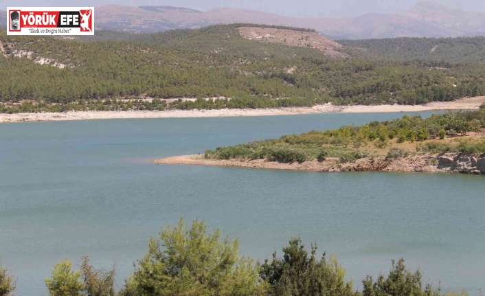 Aydın’da barajlar Şubat ayında da doldu, çiftçiler umutlandı