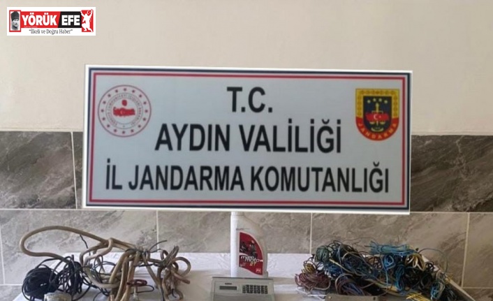 Azılı hırsızları JASAT yakaladı