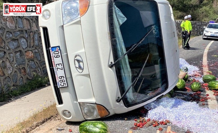 Karpuz yüklü kamyonet virajı alamadı: 1 yaralı