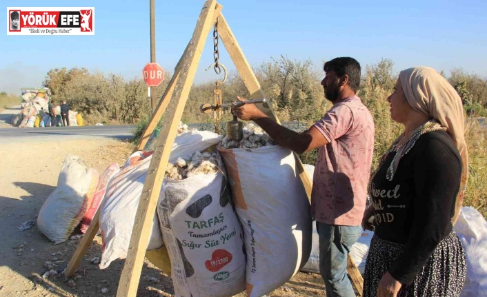 Kalıntı pamuklar ekonomiye kazandırılıyor