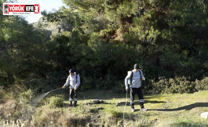 Kuşadası Belediyesi parazitlere karşı savaş açtı