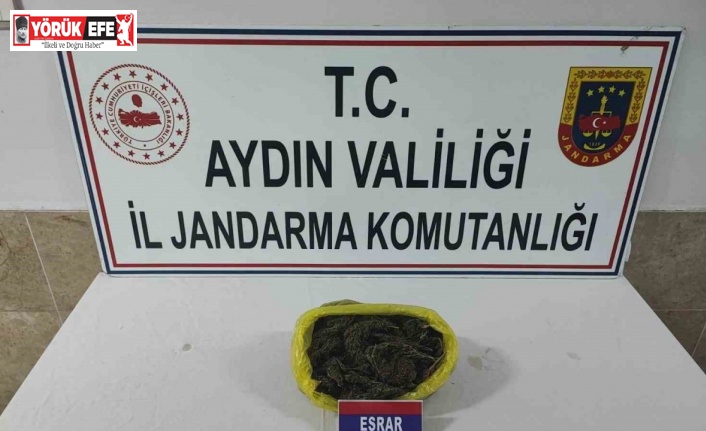 Jandarma ekipleri yarım kilo esrar yakaladı