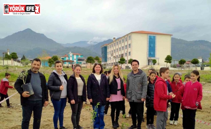 Buharkent Zafer Ortaokulu bahçesine 70 adet zeytin fidanı dikildi