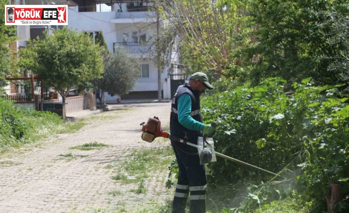 Efeler’in ekiplerinden bahar temizliği