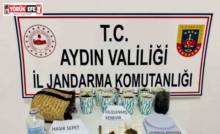 Uyuşturucu alışverişine jandarma baskını