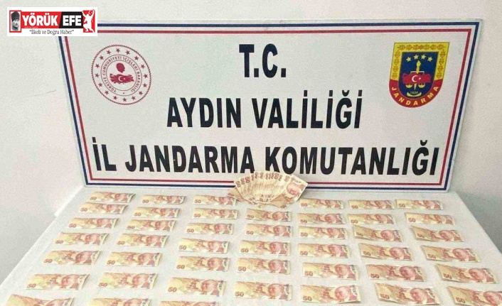 Binlerce lira sahte para ile yakalandı