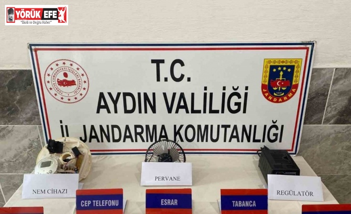 Jandarmadan uyuşturucu baskını: 1 gözaltı