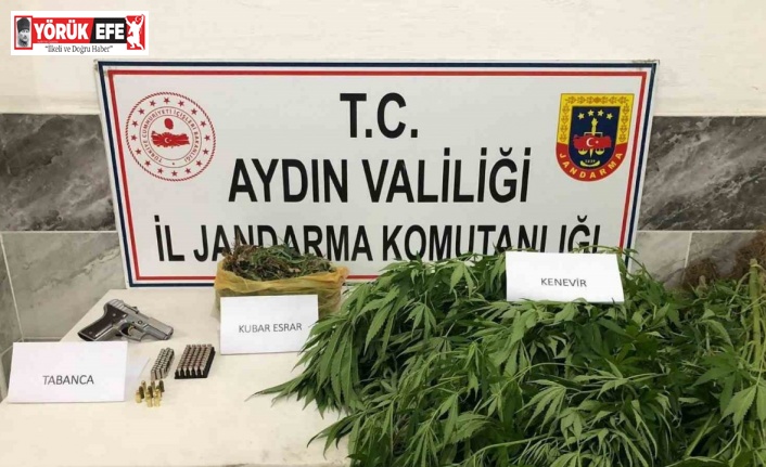 Jandarmadan uyuşturucu operasyonu: 1 gözaltı