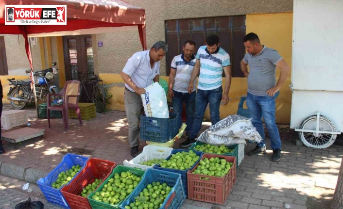 Pazarda sinekli meyvenin kilosu 40 TL’den alıcı buluyor