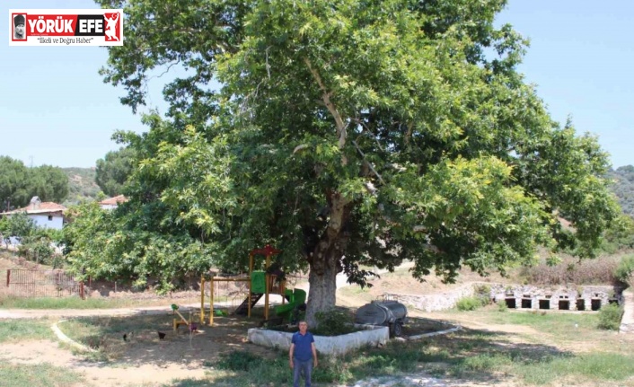 Şahnalı’nın tarihi Sekizpınarlar’ı eski günlerine kavuşmayı bekliyor