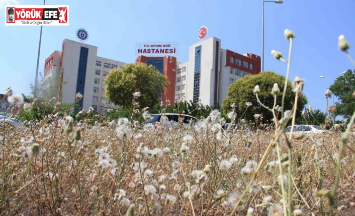 ADÜ Hastanesi’nden kaçan psikiyatri hastası dehşet saçtı