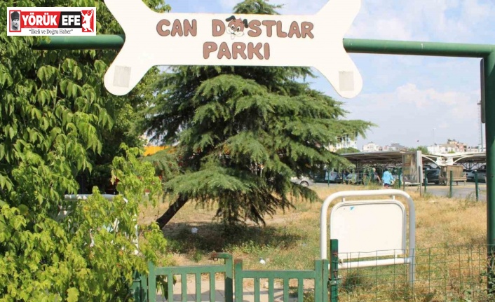 Can dostlar köpek parkı sahipsiz kaldı