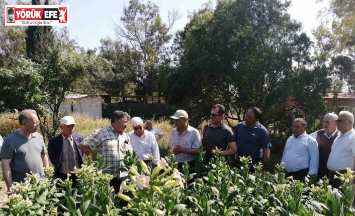 Çiftçiler tasarruflu su kullanımı konusunda bilgilendirildi