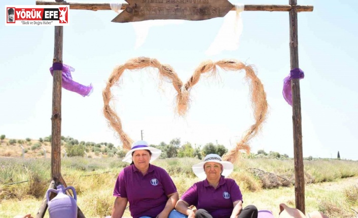 Didim’in mis kokulu Lavanta Festivali’ne sayılı günler kaldı