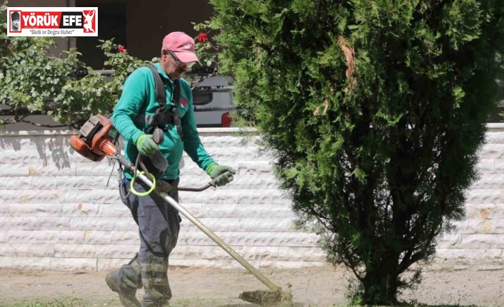 Efeler’in parkları pırıl pırıl oluyor