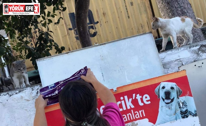 Germencik Belediyesi kavurucu sıcaklarda can dostlar için seferber oldu