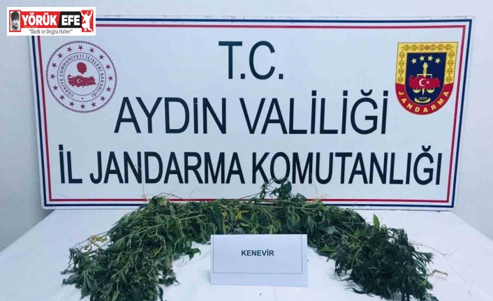 Köşk’te uyuşturucu operasyonu: 2 gözaltı