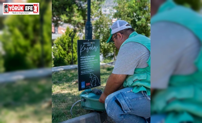 Kuşadası Belediyesi’nden sokak hayvanlarına su ve mama desteği