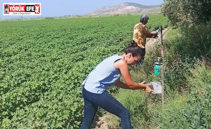 Pamuk üreticilerine “arazi taraması” çağrısı