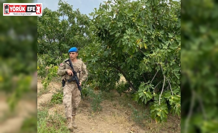 Aydın’da jandarma incir nöbetine başladı