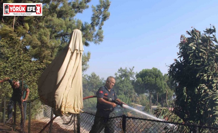 Aytepe mesire alanındaki yangın büyümeden söndürüldü