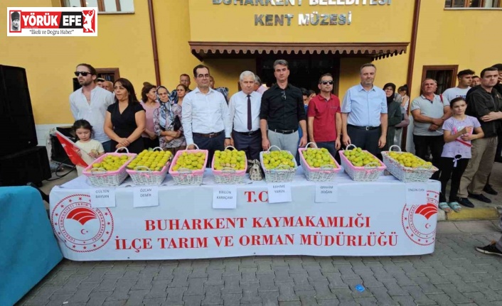 Buharkent festivalinde kurumlar arası örnek işbirliği