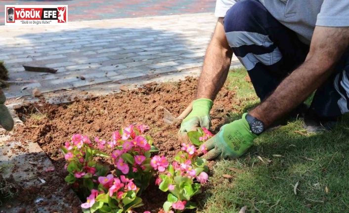 Efeler’in ekipleri ilçe genelinde çalışmalarını sürdürüyor