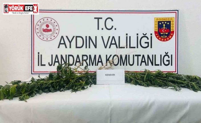 Jandarma uyuşturucuya geçit vermiyor