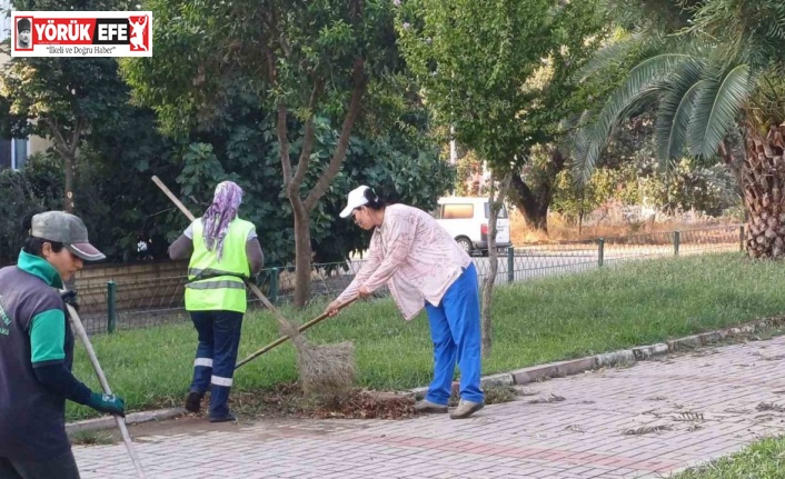 Nazilli Belediyesi selden etkilenen mahallelerde detaylı çalışmalarını sürdürüyor