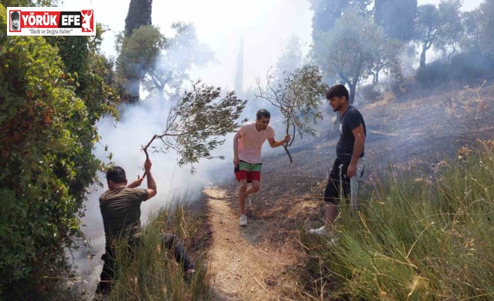 Söke’deki yangın kısmen kontrol altına alındı