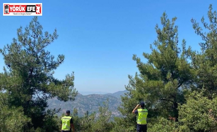 Yasaklı bölgede mangal sefası, jandarmanın radarına takıldı