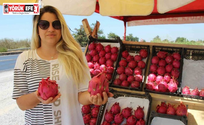 Yediği meyve hayatını değiştirdi, kendi işinin patronu oldu