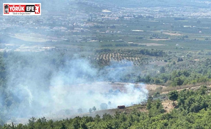 Kuşadası’ndaki orman yangını büyümeden söndürüldü