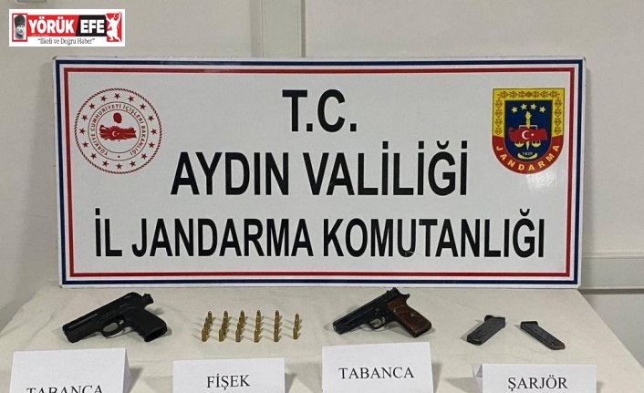 Arka koltuğa saklanan silahlar, jandarmanın dikkatinden kaçmadı