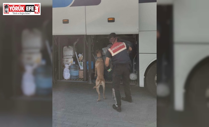 Aydın’da jandarma ekipleri düzensiz göçe geçit vermiyor