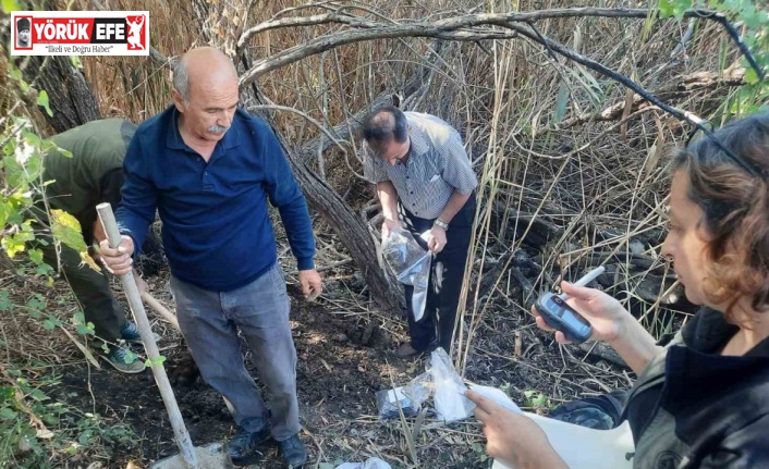 Aydın’da yaban hayvanı alanı incelendi