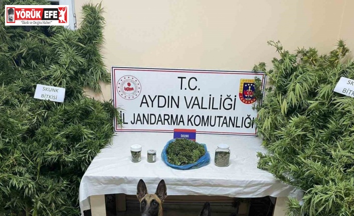 Bozdoğan’da uyuşturucu operasyonu